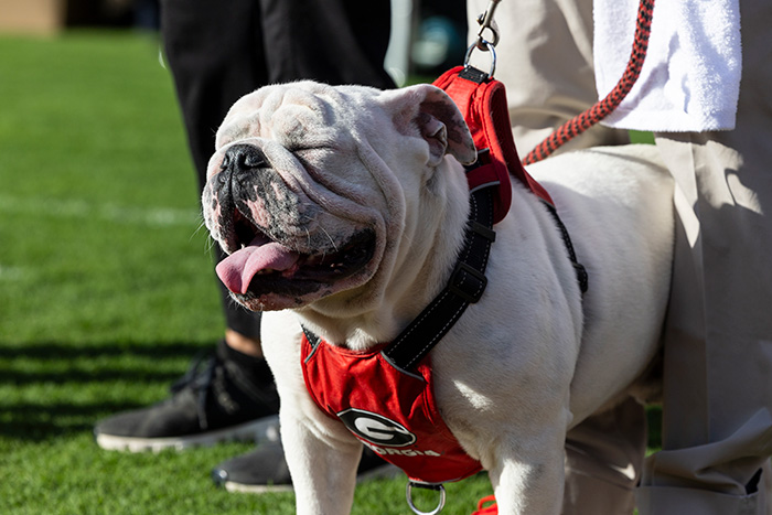 UGA XI - Game Changers