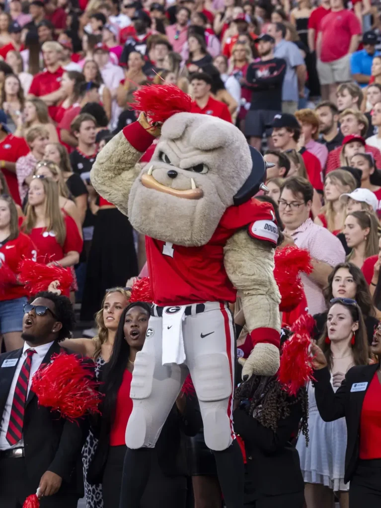 Hairy Dawg cheers on the field in front of bleachers of screaming UGA fans.