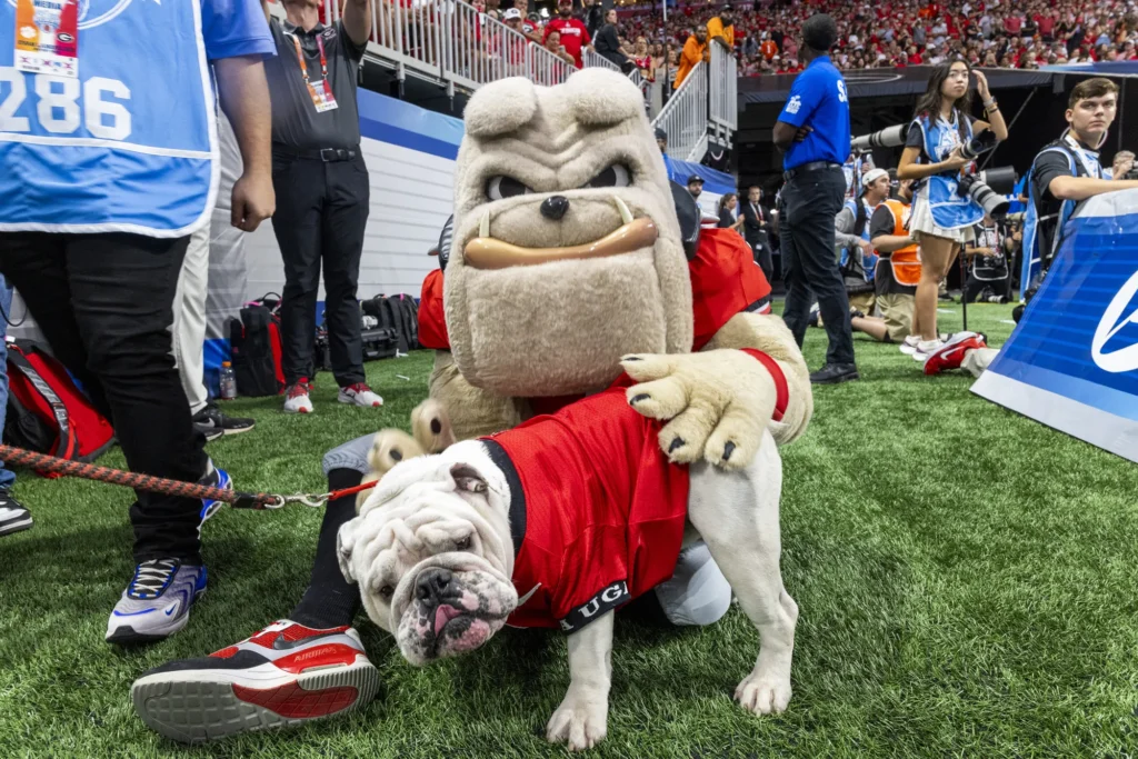 UGA's beloved bulldog mascot pets Uga while they rest on the football field.