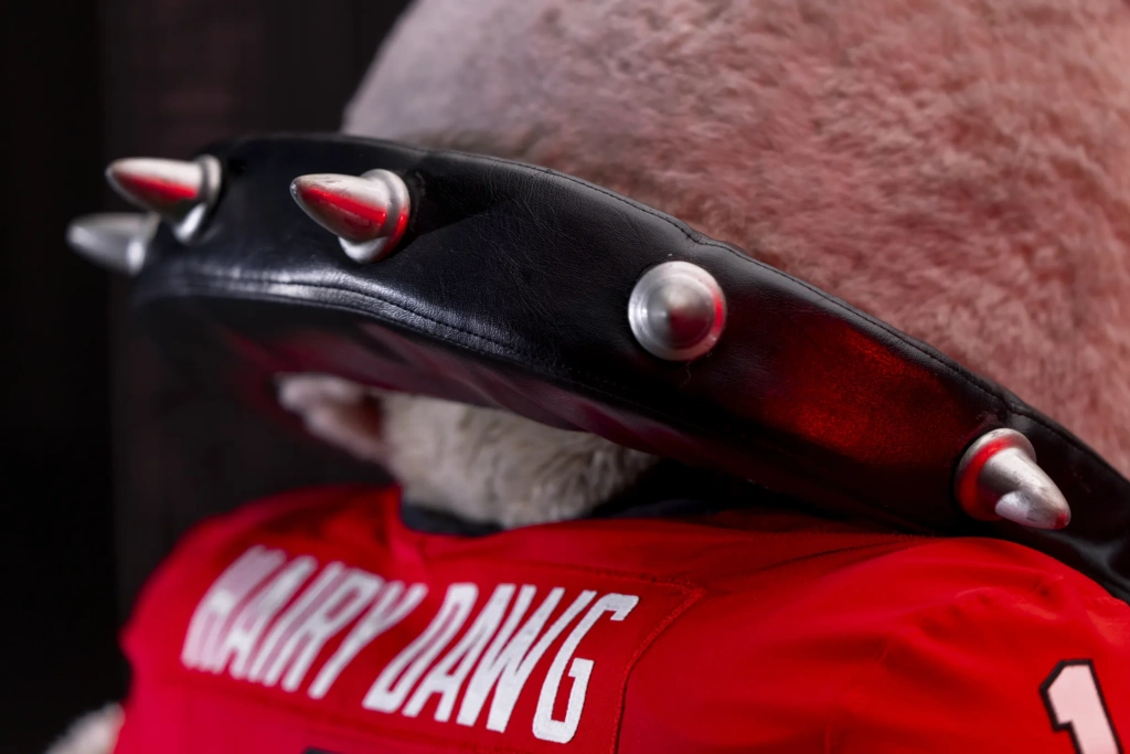 A closeup of UGA's Hairy Dawg mascot's neck with a black spiked collar.