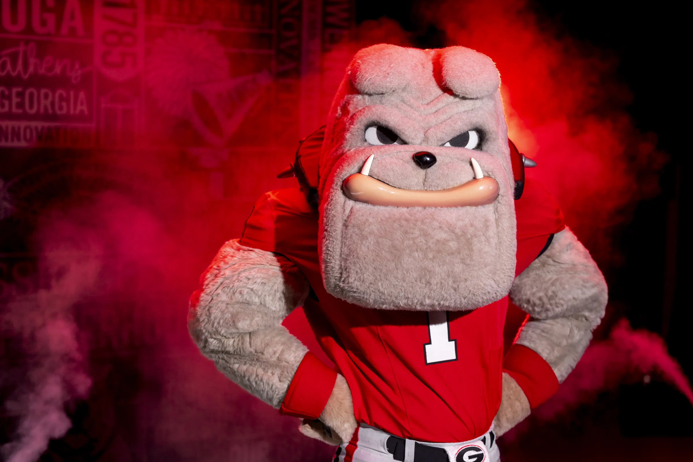 Hairy Dawg