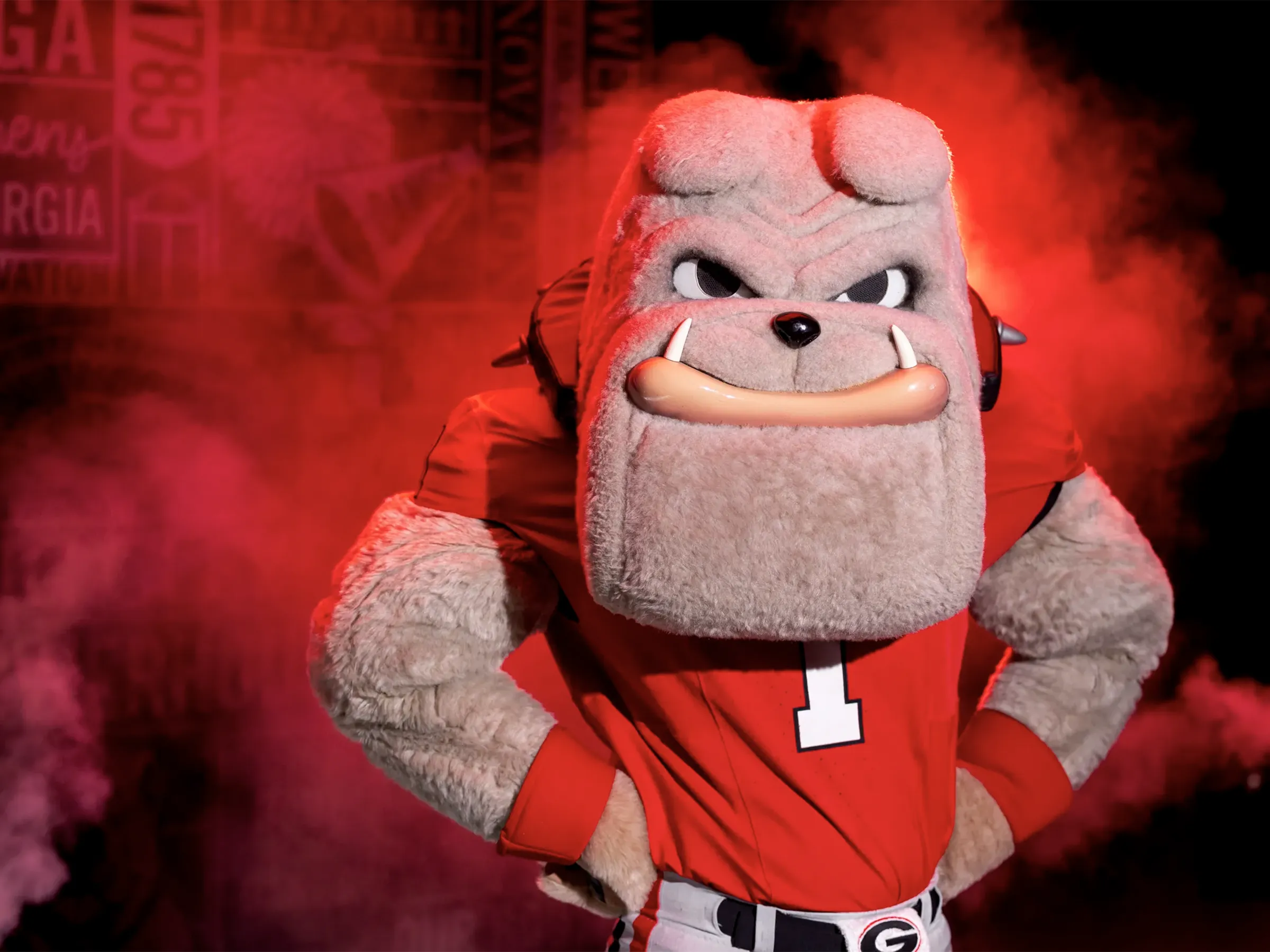 Cheering fan in red jersey